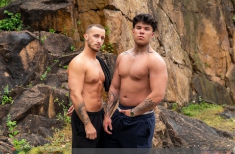 homoseksuel satanisk orgie sexpornografisk kollektion