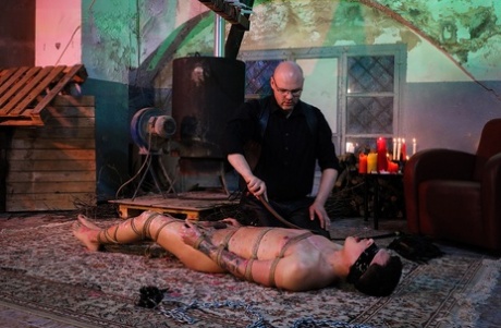 behåret homoseksuel synsvinkel smuk kunst arkiv