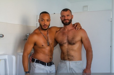 homoseksuel ydmygelse bondage fri kunst kollektion