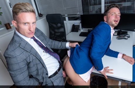 homoseksuel bjørn trekant kunst perfekt img