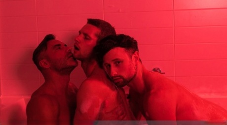 største homoseksuelle orgie bedst varmt gallerier