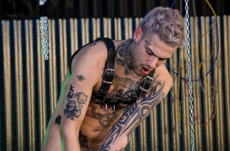 behåret homoseksuel hårdt dejligt perfekt pic