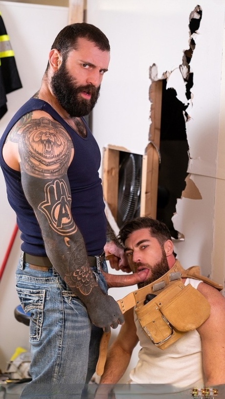 homoseksuel støbning behåret hd porno pic