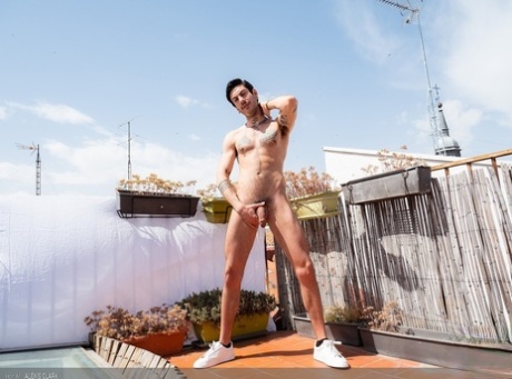 homoseksuelle nøgne ingefærmænd perfekt flot billede