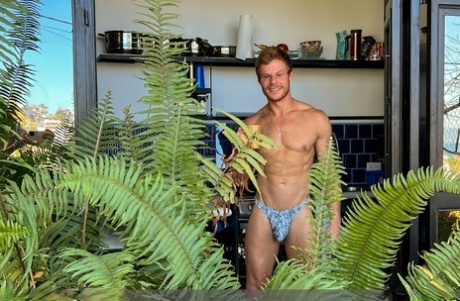 homoseksuelsortorgie dejlig gratis img
