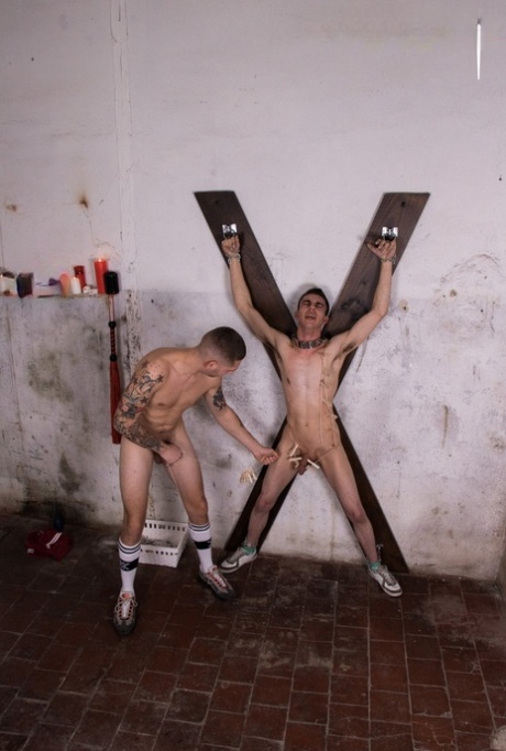 virtuel ægte homoseksuel gratis xxx billede