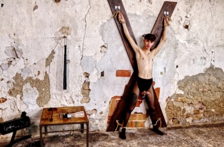 hardcore homoseksuel erotik varm hd kollektion