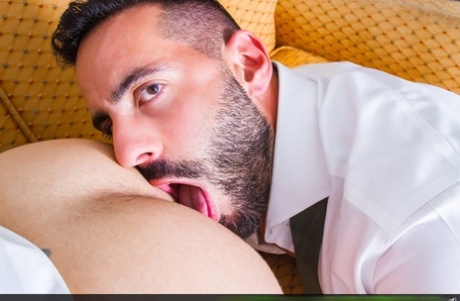 homoseksuel badeværelse blowjob høj kvalitet eksklusiv img