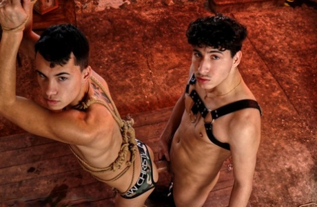 homoseksuel sauna gratis Perfekt billede