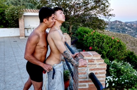 homoseksuelle modne pornobilleder sex dejligt galleri