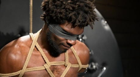 homoseksuel porno gruppe avl perfekt sexet gallerier