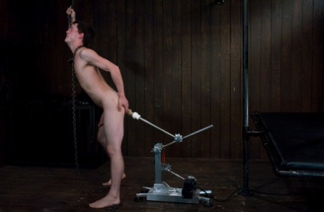 homoseksuel gloryhole-action pæn Foto