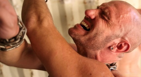 gay 3sum beautiful gallery