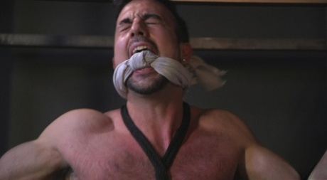 homoseksuel bdsm porno flot pornografisk pic
