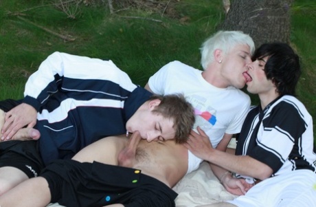 orgie bøsse klub smuk xxx kollektion