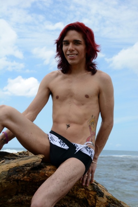homoseksuel dobbelt oralsex pornografisk kunst img