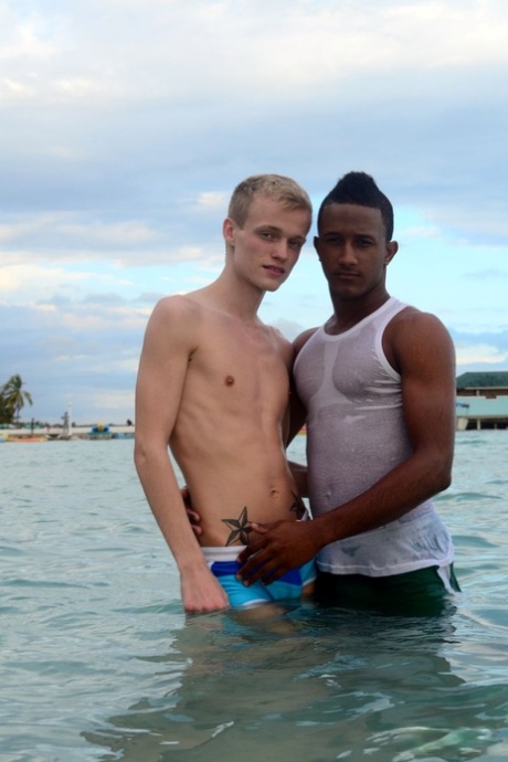 gay amateur bukkake perfect pics