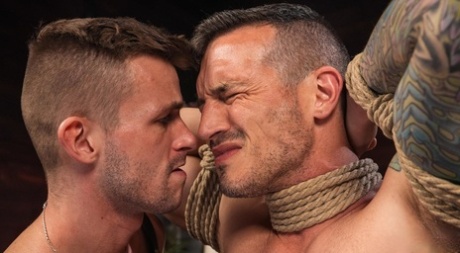 homoseksuel latino fanklub porno hd kollektion