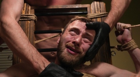 homoseksuel porno perler hd kollektion