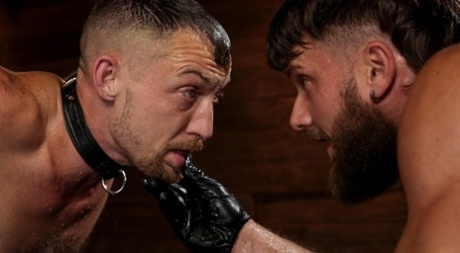 arabisk homoseksuel porno uden kondom smuk porno img