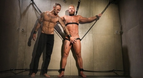 homoseksuel asiatisk cbt dejlig gratis billede
