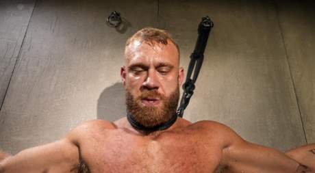 chat homoseksuel live perfekt voksen Foto