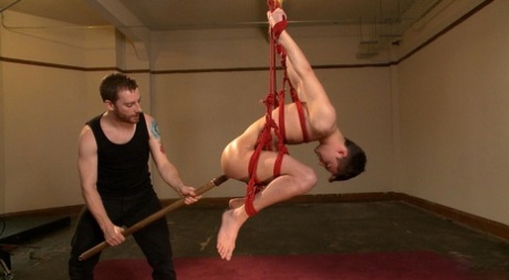 homoseksuel bondage bundet gratis flot img
