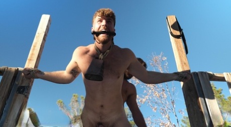 hd gejowskie porno twarde szczyt galerie