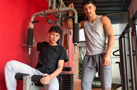 gay hairy bondage pretty img
