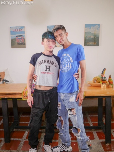 homoseksuel trekant pornografisk kunst kollektion