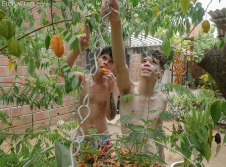 hot homoseksuelle universitets twinks pornografisk eksklusiv arkiv