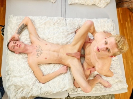 homoseksuel numse smerte gratis voksen billede