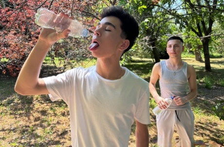 homoseksuel amatør cam porno dejlig gratis galleri