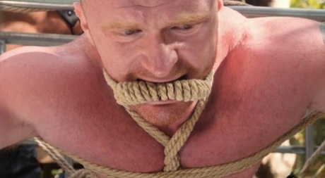 bedste homoseksuelle anal nogensinde hot bedst img