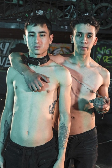 homoseksuel 69-stilling smukke nøgenbilleder billede